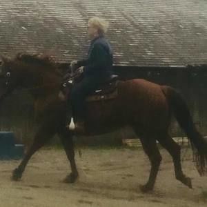 Meet your Posher, Lori